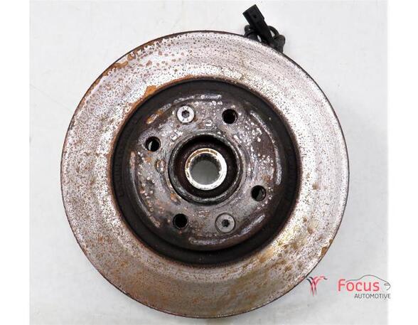 Stub Axle RENAULT Twingo II (CN0)