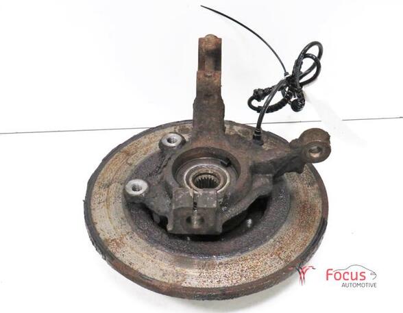 Stub Axle RENAULT Twingo II (CN0)