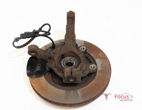 Stub Axle RENAULT Twingo II (CN0)