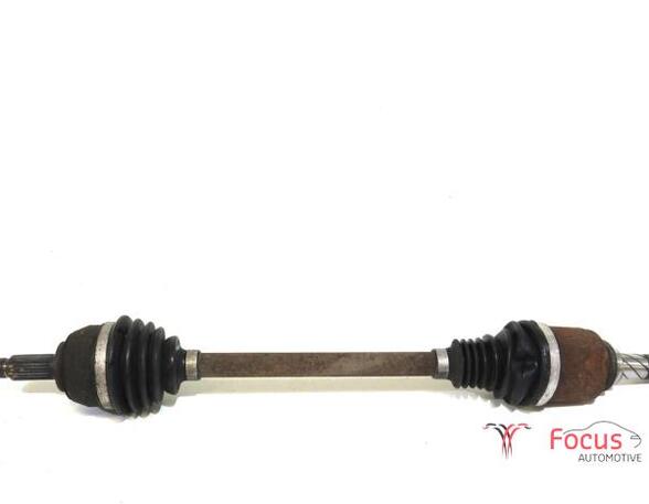 Drive Shaft RENAULT KANGOO Express (FW0/1_)