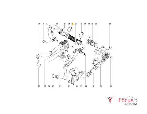 Wiring Harness RENAULT KANGOO Express (FW0/1_)