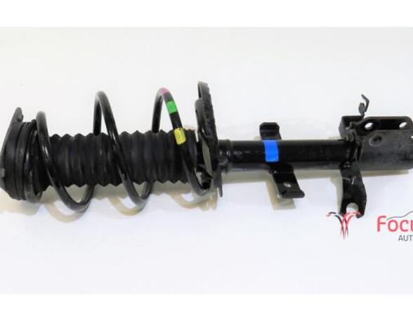 Suspension Strut RENAULT Captur I (H5, J5), RENAULT Clio IV (BH)