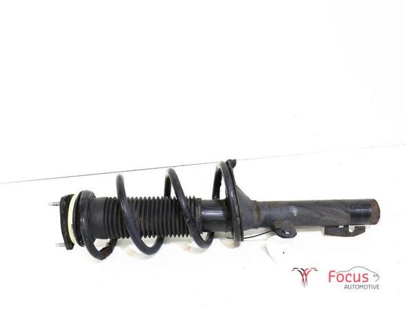 Suspension Strut FORD Transit V363 Kasten (FCD, FDD)