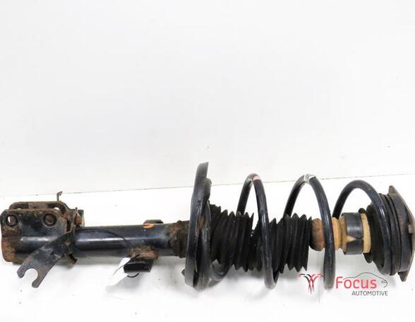 Suspension Strut RENAULT Clio III (BR0/1, CR0/1), RENAULT Clio IV (BH)