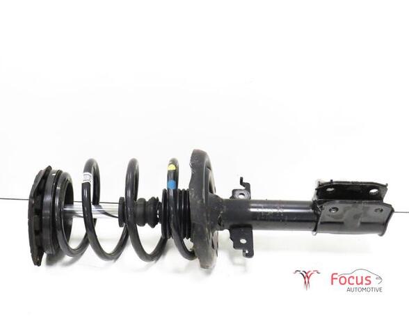 Suspension Strut RENAULT Scénic III (JZ0/1), RENAULT Grand Scénic III (JZ0/1)