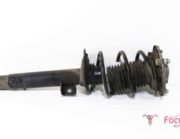 Suspension Strut BMW 1er (F20)