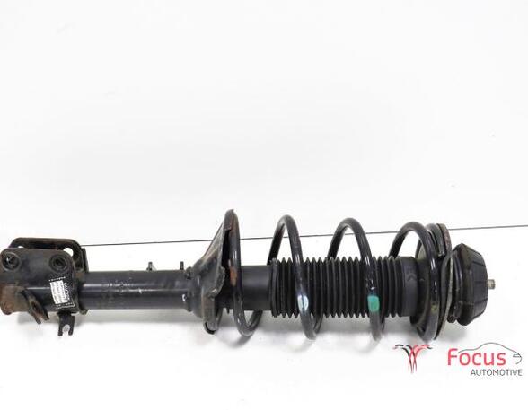 Suspension Strut SUZUKI Alto (GF)