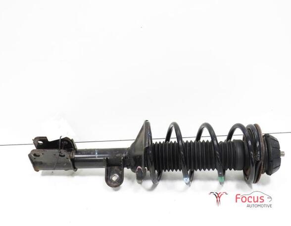 Suspension Strut SUZUKI Alto (GF)