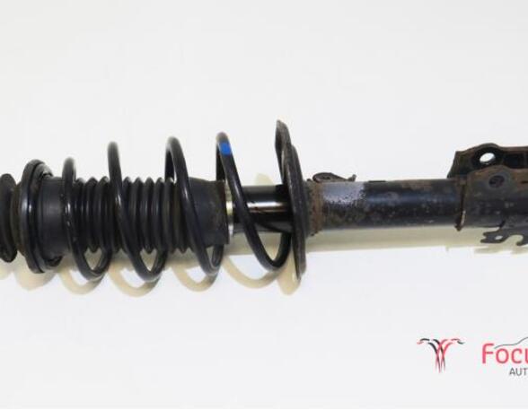 Suspension Strut TOYOTA Yaris (KSP9, NCP9, NSP9, SCP9, ZSP9)