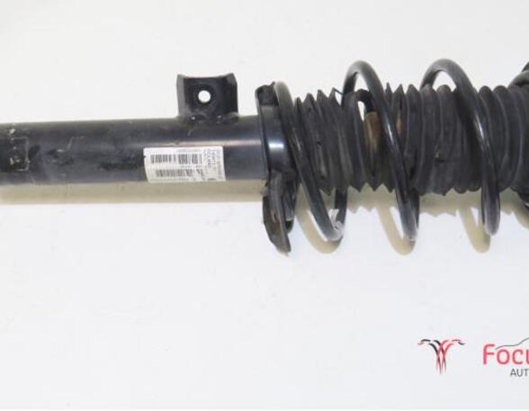 Suspension Strut BMW 1er (F20)