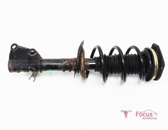 Suspension Strut RENAULT KANGOO Express (FW0/1_)