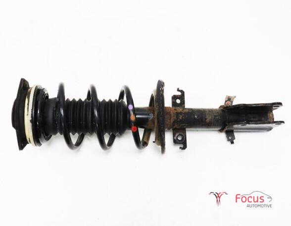 Suspension Strut RENAULT KANGOO Express (FW0/1_)