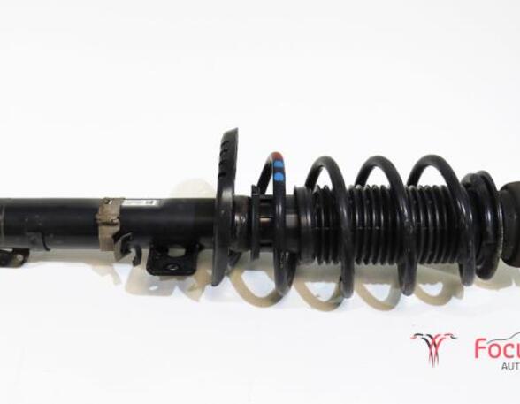 Suspension Strut SKODA FABIA II Combi (545)