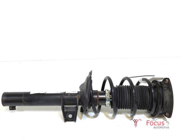 Suspension Strut VW GOLF VII (5G1, BQ1, BE1, BE2)