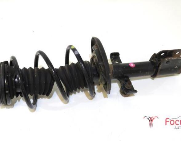 Suspension Strut RENAULT CLIO IV (BH_)