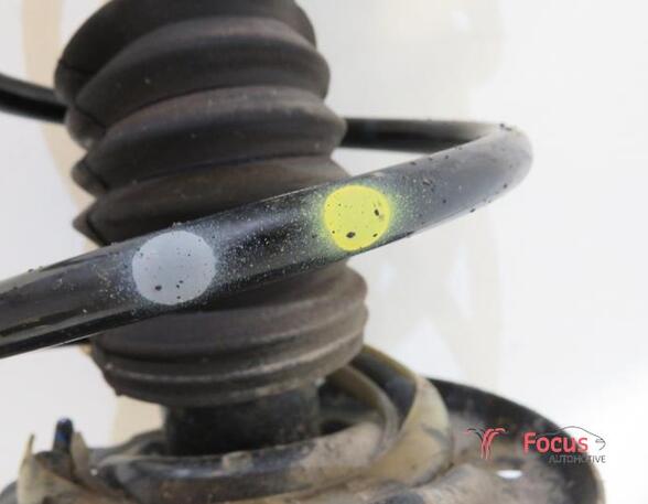 Suspension Strut RENAULT CLIO IV (BH_)