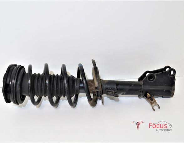 Suspension Strut RENAULT KANGOO Express (FW0/1_)