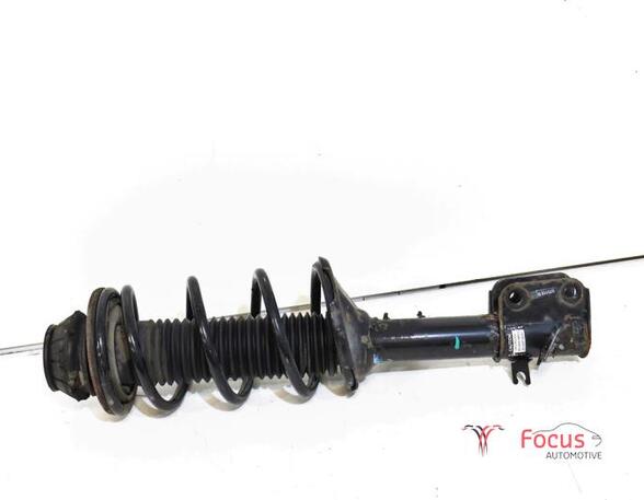 Suspension Strut SUZUKI ALTO (GF)