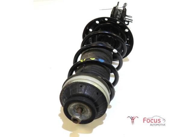 Federbein links vorne Fiat Panda 312, 319 51926519 P21438744