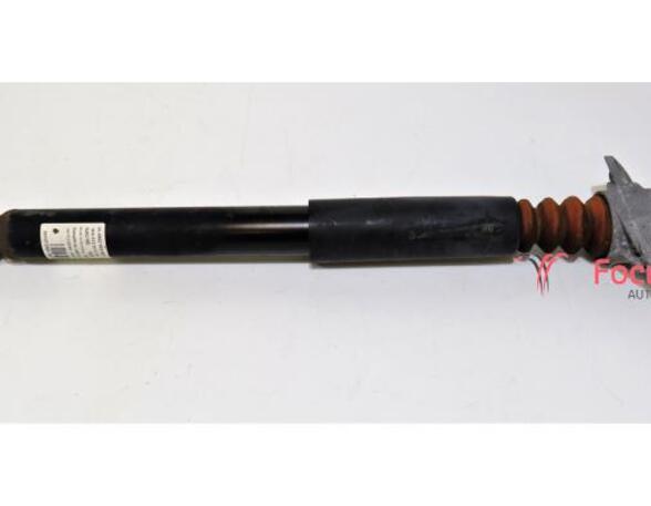 Shock Absorber VW Golf V (1K1), VW Golf VI (5K1)