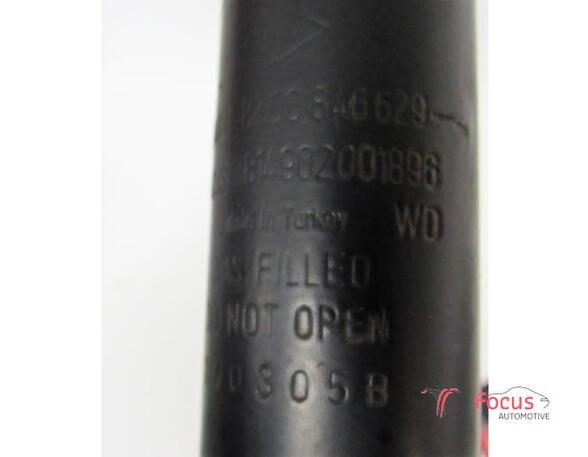 Shock Absorber RENAULT Modus/Grand Modus (F/JP0)