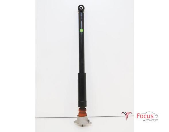 Shock Absorber FORD Fiesta VI (CB1, CCN)