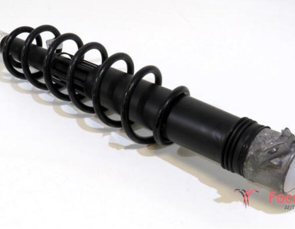 Shock Absorber VW Golf VII (5G1, BE1, BE2, BQ1)