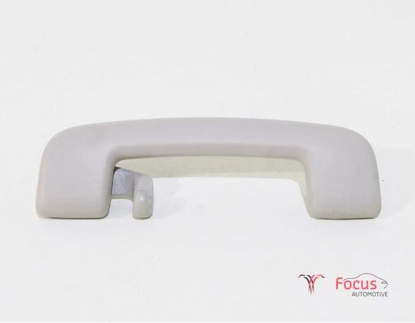 Grab Handle RENAULT Clio V (BF)