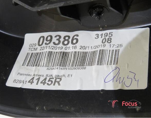 Türverkleidung links hinten Renault Clio V BF 829A14145R P13629408