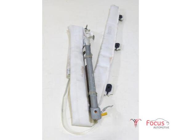 Roof Airbag FIAT 500L (351_, 352_)