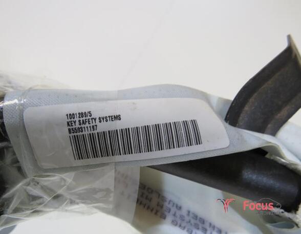 Airbag Dach links Audi A3 Sportback 8P 1001289 P19944080