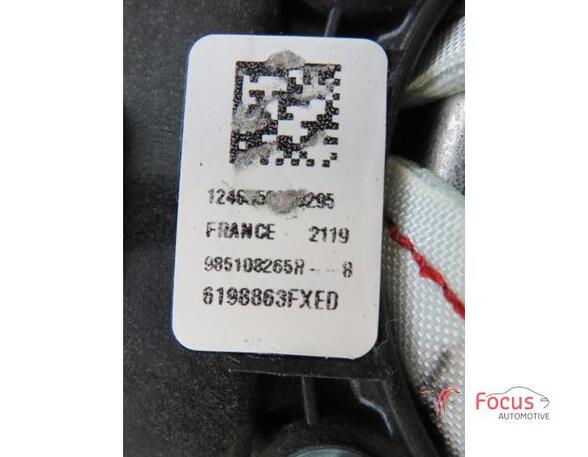 Airbag Fahrer Renault Clio IV BH 6198863FXED P19650256