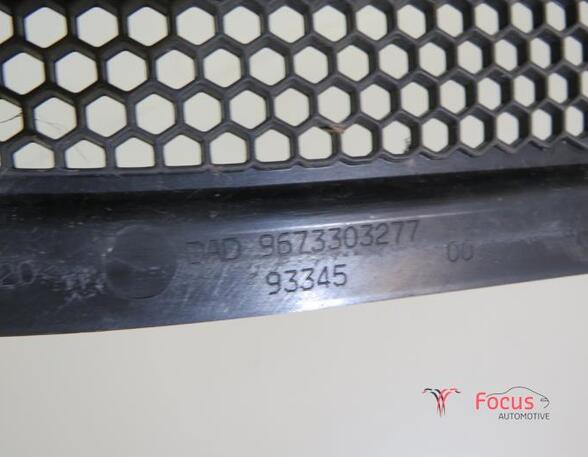 Scuttle Panel (Water Deflector) PEUGEOT 208 I (CA, CC)