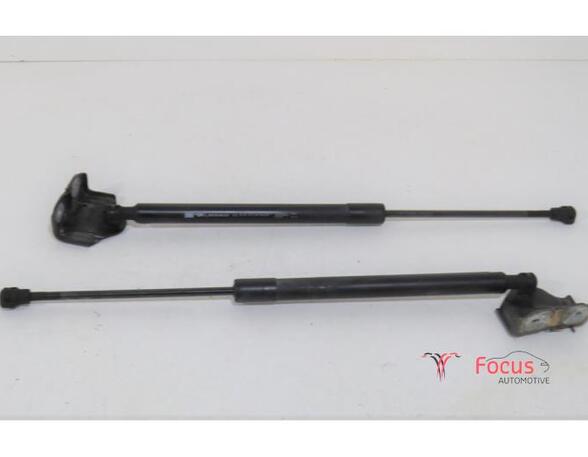 Gasveer kofferruimte RENAULT Clio III (BR0/1, CR0/1), RENAULT Clio IV (BH)