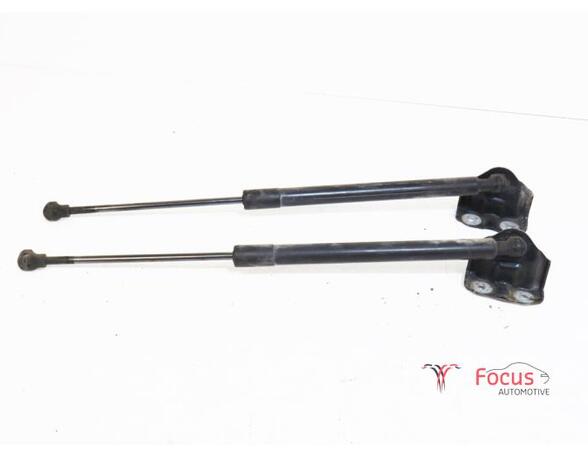 Gasveer kofferruimte RENAULT Clio III (BR0/1, CR0/1), RENAULT Clio IV (BH)