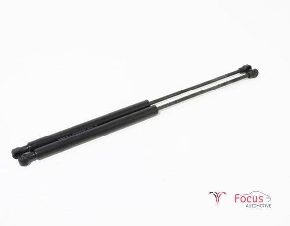 Bootlid (Tailgate) Gas Strut Spring RENAULT Twingo III (BCM)