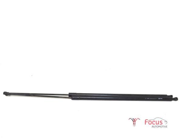 Bootlid (Tailgate) Gas Strut Spring RENAULT KANGOO Express (FW0/1_), RENAULT KANGOO / GRAND KANGOO (KW0/1_)