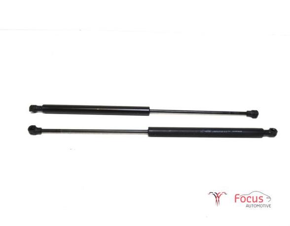 Bootlid (Tailgate) Gas Strut Spring RENAULT TWINGO III (BCM_, BCA_)