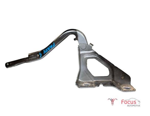 Bonnet Hinge RENAULT Clio V (BF), RENAULT Clio V (B7)