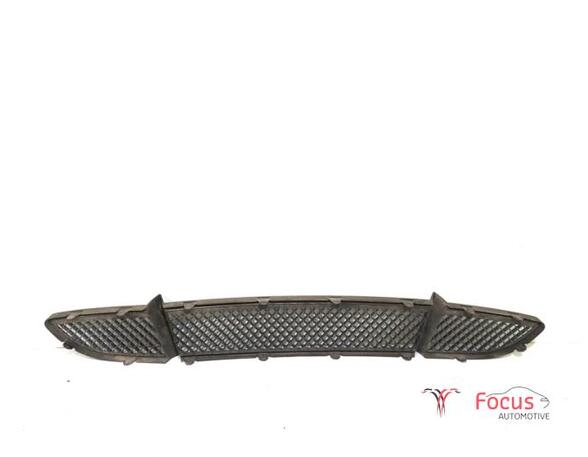 Radiateurgrille BMW 1 (E87), BMW 1 (E81), BMW 1 Coupe (E82)