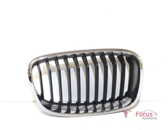 Radiateurgrille BMW 1 (F21)