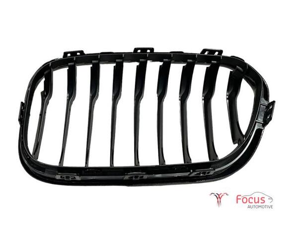 Radiateurgrille BMW 1 (F21)