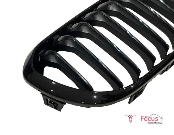 Radiator Grille BMW 1 (F21)