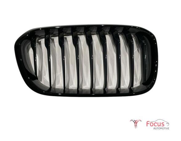 Radiateurgrille BMW 1 (F21)