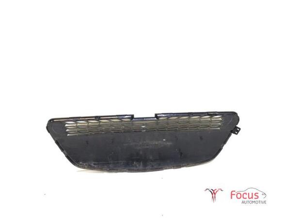 Radiator Grille CHEVROLET SPARK (M300)