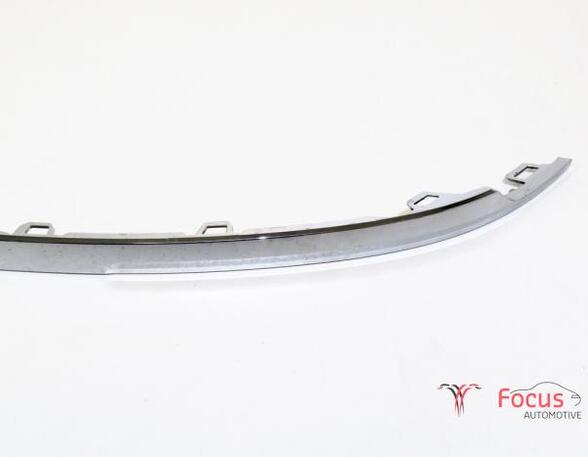 Trim Strip Bumper VW Tiguan (AD1, AX1)