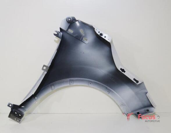 Spatbord RENAULT Captur I (H5, J5), RENAULT Clio IV (BH)