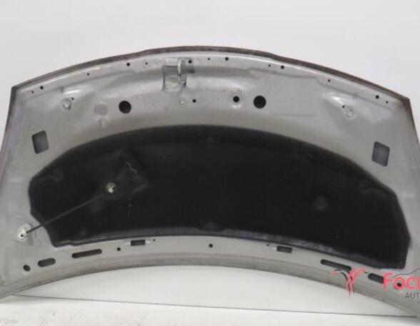 Motorhaube Nissan Pixo   P20878311