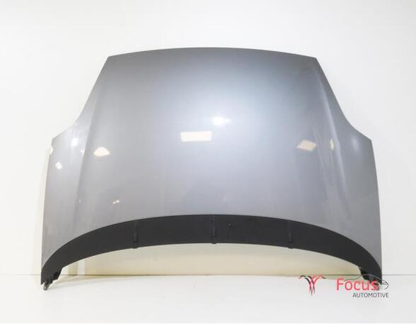 Bonnet FIAT PUNTO (199_), FIAT GRANDE PUNTO (199_), FIAT PUNTO EVO (199_)