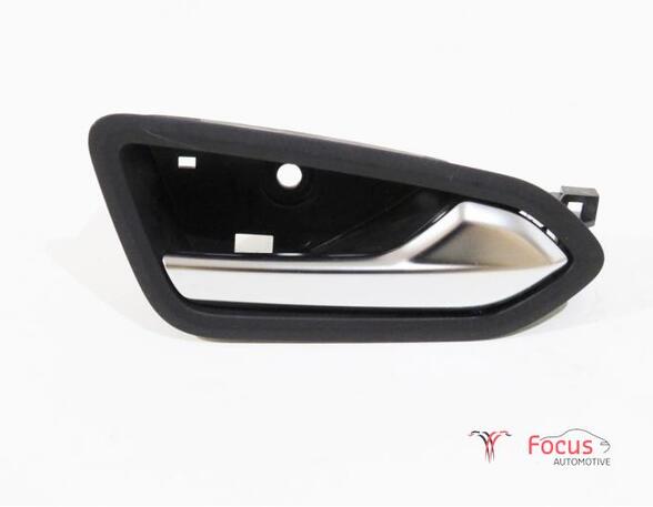 Door Handle RENAULT Clio V (BF)